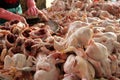 Chickens in a Market