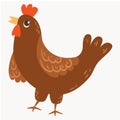 Chickens set vector illustration in Color. Brown and white Hen and Rooster. Male and female chickens set Royalty Free Stock Photo