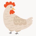 Chickens set vector illustration in Color. Brown and white Hen and Rooster. Male and female chickens set Royalty Free Stock Photo