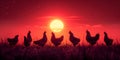 Chickens silhouettes walking on grass in field at sunset with dark red background Royalty Free Stock Photo