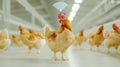 Smart Farm Chickens RealTime Monitoring of Health and Productivity