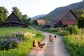 Chickens walking on a path in a farm in the Black Forest Royalty Free Stock Photo