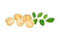 Chickpea Beige Pile with Green Branch as Annual Legume Plant Vector Illustration