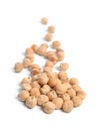 Chickpea or chick pea or Bengal gram, chhana, chana, garbanzo or garbanzo bean, or Egyptian pea. Isolated