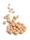 Chickpea or chick pea or Bengal gram, chhana, chana, garbanzo or garbanzo bean, or Egyptian pea. Isolated