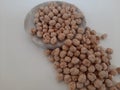 The chickpea or chick pea (Cicer arietinum) is an annual legume of the family Fabaceae, subfamily Faboideae.