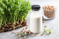 Chickpea vegetarian milk in bottle, raw chickpeas in glass on light background. Non-dairy lactose free milk