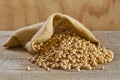 Chickpeas in Burlap Sack