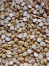 Chickpeas or chana dal or split pluse close-up