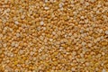 Chickpeas or Chana Dal, split pluse closeup Royalty Free Stock Photo