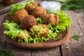 Chickpeas falafel with tzatziki sauce