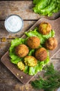 Chickpeas falafel with tzatziki sauce