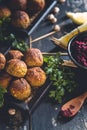 Chickpeas falafels and Beet Hummus Royalty Free Stock Photo