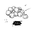 Chickpeas hand drawn vector illustration. Isolated Vegetable engraved style object.