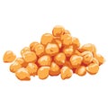 Chickpeas Vector Illustration