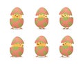 Chicks in broken leaf easter eggs set