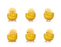 Chicks in broken line easter eggs bottom set