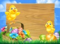 Chicks and Easter Eggs Basket Sign Royalty Free Stock Photo