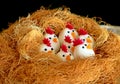 Chicks in the nest marzipan art , celebration and festive