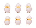 Chicks in white broken eggs set