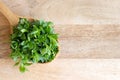 Chickweed on a wooden spoon with copy space Royalty Free Stock Photo