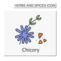 Chicory color icon