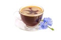 Chicory cup and chicory flower isolated on white background Royalty Free Stock Photo