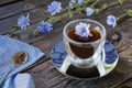 Chicory drink in thermo glass cup with fresh flowers Royalty Free Stock Photo