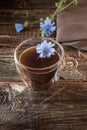 Chicory drink in transparent glass cup with fresh flowers Royalty Free Stock Photo