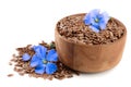 Chicory flower and powder of instant chicory in wooden bowl isolated on a white background. Cichorium intybus