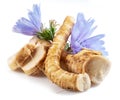 Chicory flowers and roots close up on the white background