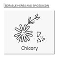 Chicory line icon