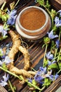 Chicory root,coffee substitute Royalty Free Stock Photo