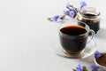 Chicory Root Coffee in glasses and fresh flowers. Health Benefits. Royalty Free Stock Photo