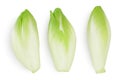 Chicory salad isolated on white background with clipping path and full depth of field. Top view. Flat lay Royalty Free Stock Photo