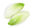 Chicory salad isolated on white background with clipping path and full depth of field. Top view. Flat lay Royalty Free Stock Photo