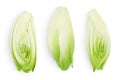 Chicory salad isolated on white background with clipping path and full depth of field. Top view. Flat lay Royalty Free Stock Photo