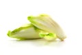 Chicory vegetable Royalty Free Stock Photo