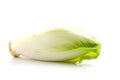 Chicory vegetable