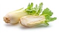 Chicory Vegetable Cut in Half Generative AI Royalty Free Stock Photo