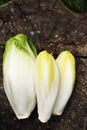 Chicory vegetable, Top view Royalty Free Stock Photo
