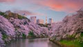 Chidorigafuchi park during the spring season with sakura in Tokyo