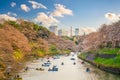 Chidorigafuchi park during the spring season with sakura in Tokyo