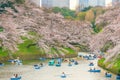Chidorigafuchi park in Tokyo during sakura season in Japan