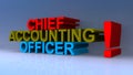 Chief accounting officer on blue