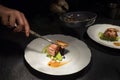 Chief cook putting Grilled meat piece using tweezers on green vegetables puree white plate with sauce. Healthy meals preparation, Royalty Free Stock Photo