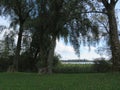 Chiemsee in Bavaria near Rimsting on an autumn day Royalty Free Stock Photo