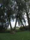 Chiemsee in Bavria near Rimsting on an autumn day Royalty Free Stock Photo