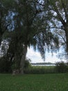 Chiemsee in Bavaria near Rimsting on an autumn day Royalty Free Stock Photo