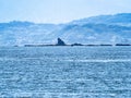 Chigasaki symbol Eboshi as seen from Enoshima Royalty Free Stock Photo